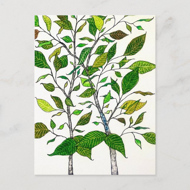 Ficus-Pflanze Farbstift Baumzeichnung  Postkarte (Vorderseite)