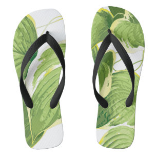 Ficus Pflanze Flip Flops