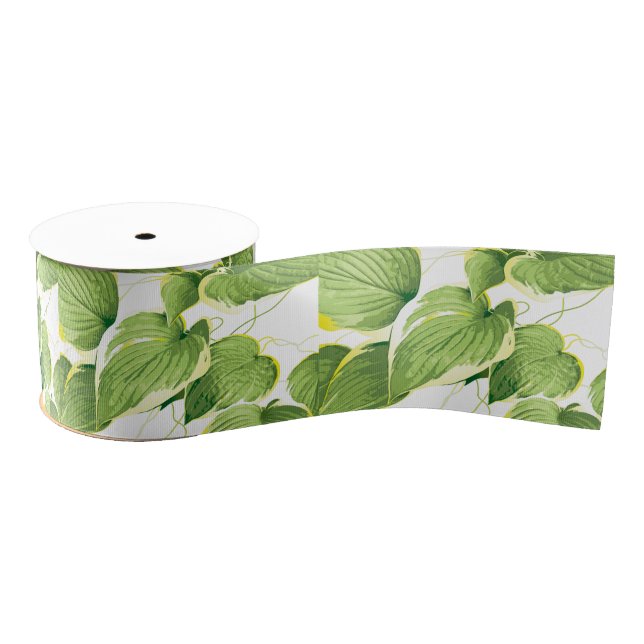 Ficus Pflanze Ripsband (Spule)
