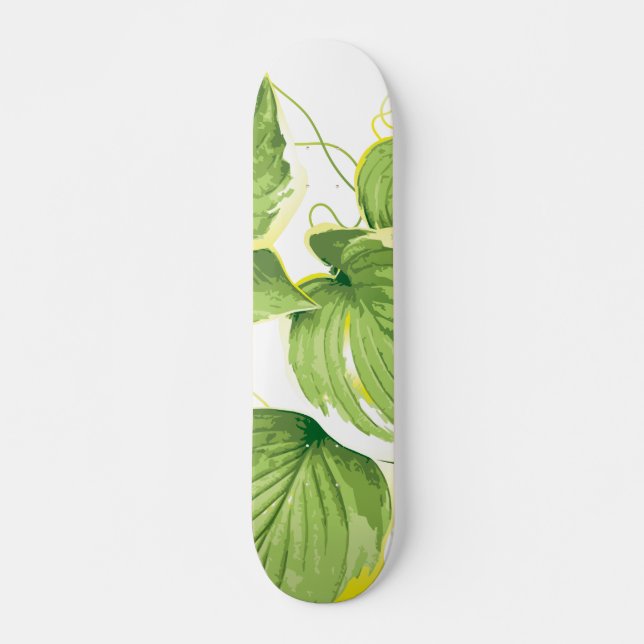 Ficus Pflanze Skateboard (Vorne)