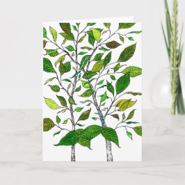 Ficus Plant Color Pencil Tree Drawing Karte