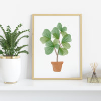 Fiddle Leaf Abb.