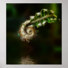 Fiddlehead Fern Poster