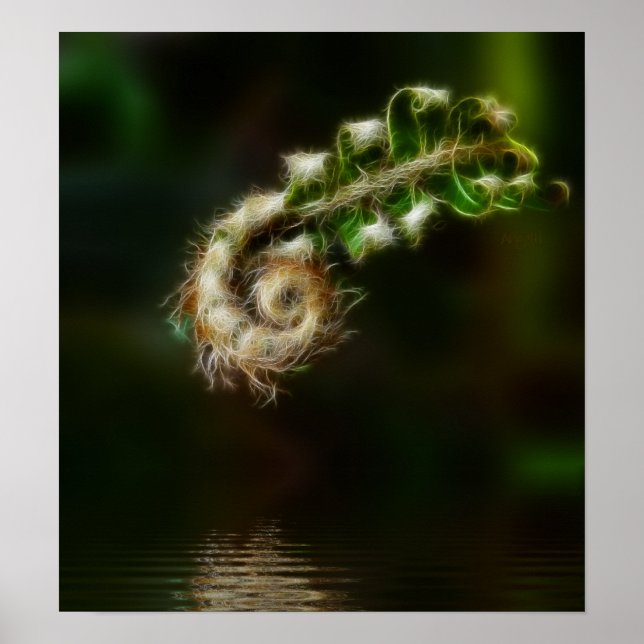 Fiddlehead Fern Poster (Vorne)