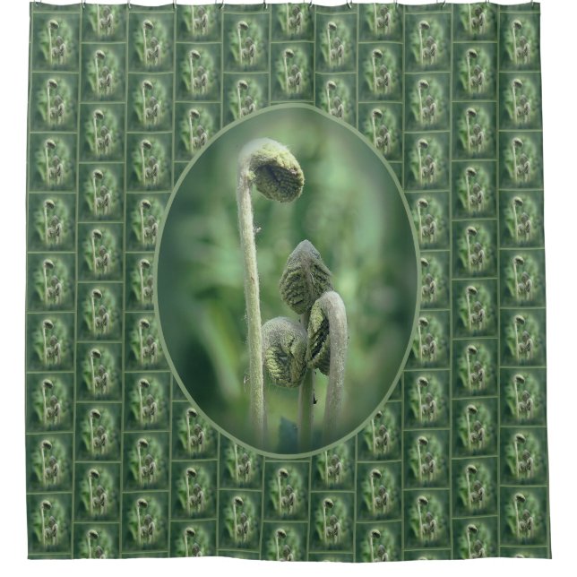 Fiddlehead Ferns Nature Pattern Duschvorhang (Vorderseite)