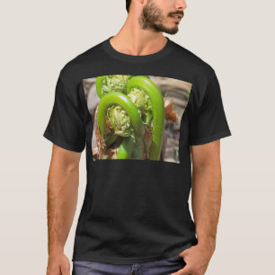 Fiddleheads T-Shirt