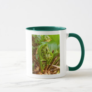 Fiddleheads Tasse