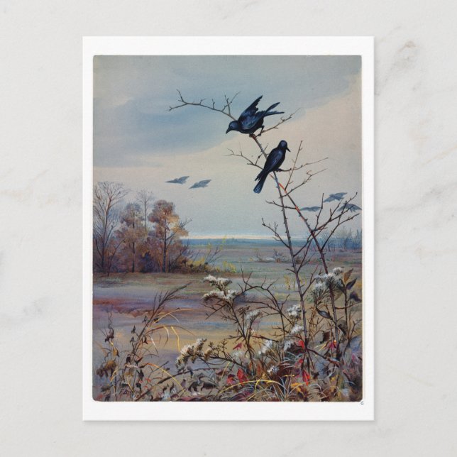 Fidelia Bridges Feiertagspostkarte (Vorderseite)