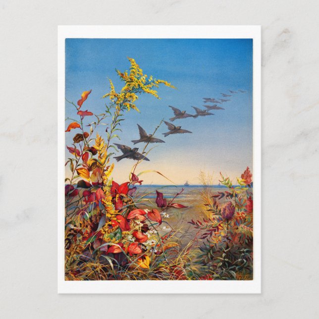 Fidelia Bridges Feiertagspostkarte (Vorderseite)