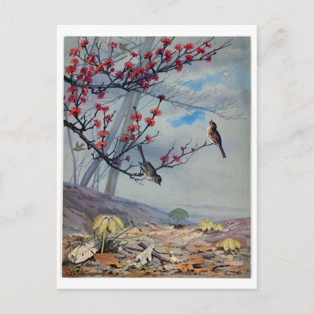 Fidelia Bridges Feiertagspostkarte (Vorderseite)