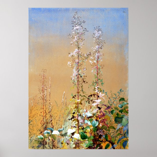 Fidelia Bridges ohne Titel Poster (Vorne)