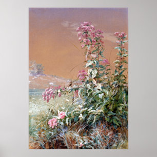 Fidelia Bridges ohne Titel Poster