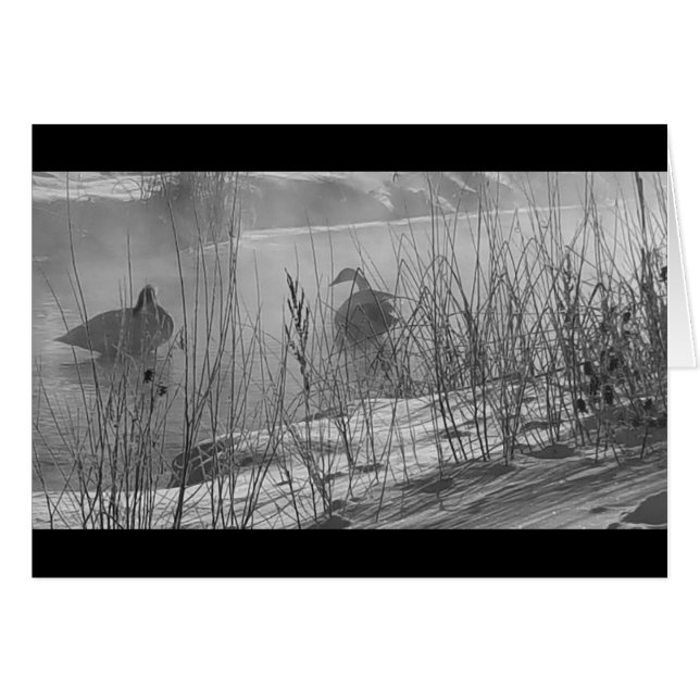 Fidelity ~ Winter swans card (Vorderseite (Horizontal))