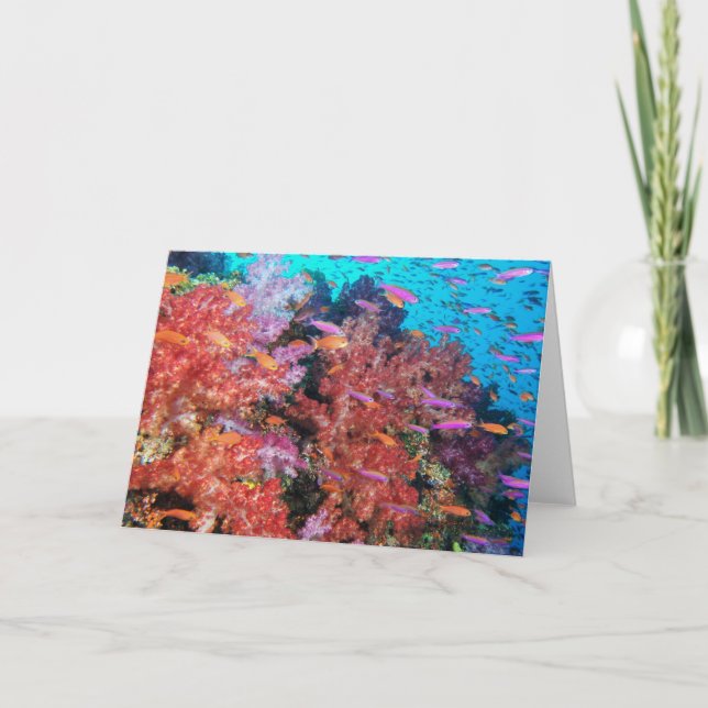 Fidschi-Farbspritzen Karte (Vorderseite)