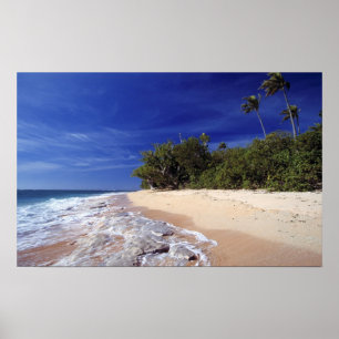Fidschi-Inseln, Tavarua. Dieser Strand auf Tavarua Poster