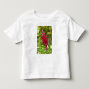 Fidschi, Viti Levu Insel. Blume. Kleinkind T-shirt