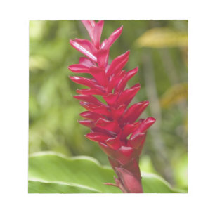 Fidschi, Viti Levu-Insel. Blume. Notizblock
