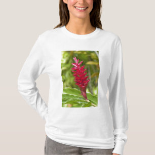 Fidschi, Viti Levu Insel. Blume. T-Shirt