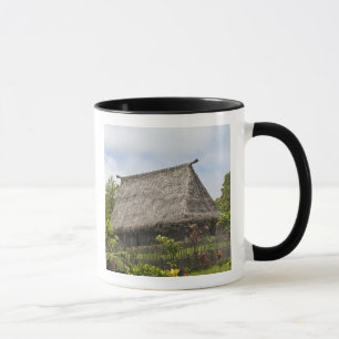 Fidschi, Viti Levu Insel. Polynesisches Kulturzent Tasse