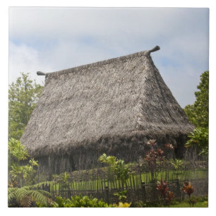 Fidschi, Viti Levu Island. Polynesische Kultur Fliese