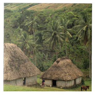 Fidschi, Viti Levu, Navala, traditionelle Bure-Häu Fliese