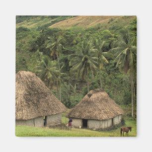 Fidschi, Viti Levu, Navala, Traditionelle Heime Magnet