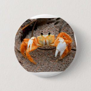 Fiedler-Krabbe auf Strand Colorized Orange Button