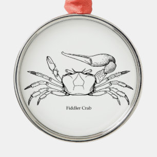 Fiedler-Krabben-Illustration (Linie Kunst) Silbernes Ornament