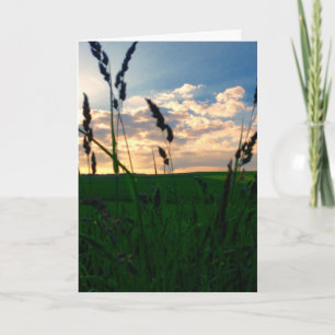 Field at Dusk - Deepest Condolences Karte