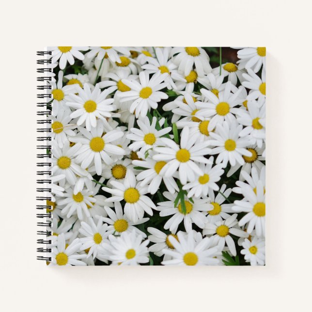 Field of Daisies Photo Notizbuch (Vorderseite)