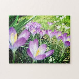 Field of Purple Spring Flowers Crocus Flower Lilac Puzzle