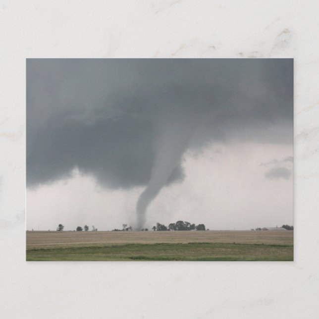 Field Tornado Postkarte (Vorderseite)