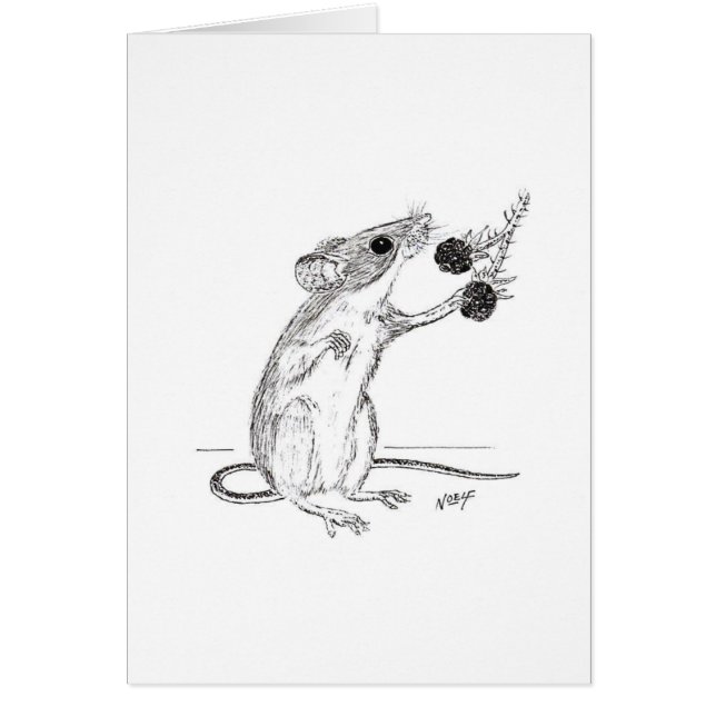 Fieldmouse u. BlackBerry (Vorne)