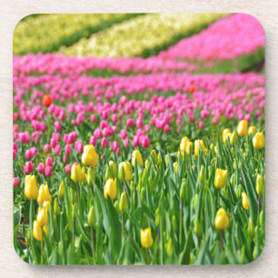 Fields of Colors Untersetzer