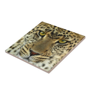 Fierce Leopard Fliese