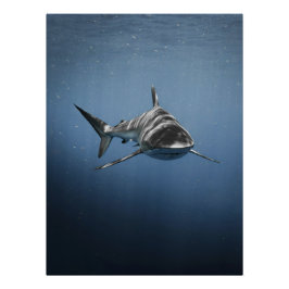 Fierce Ocean Predator – Shark Poster
