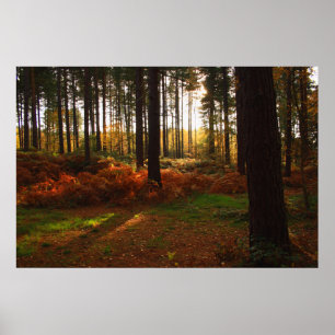 Fiery Bracken Print Poster