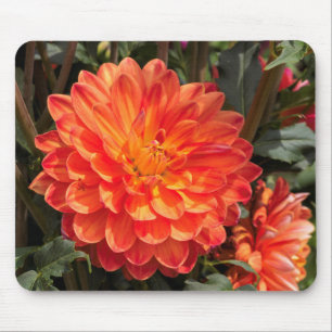 Fiery Dahlia Mousepad
