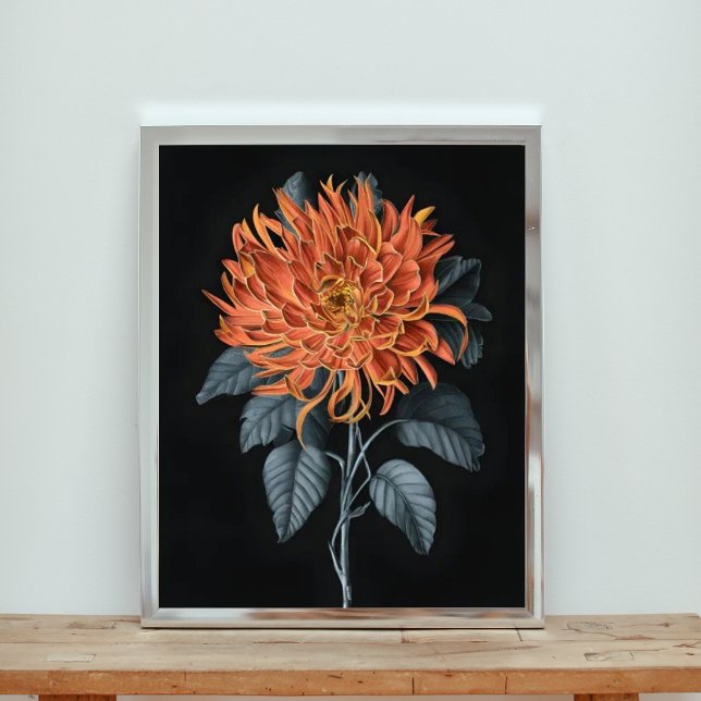 Fiery Elegance: Orange Chrysanthemum Fotodruck (Von Creator hochgeladen)