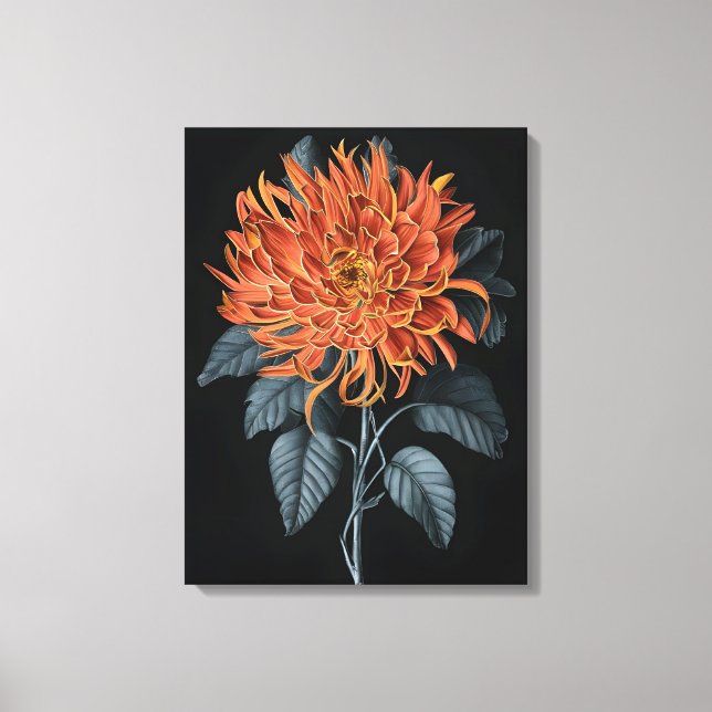 Fiery Elegance: Orange Chrysanthemum Leinwanddruck (Vorderseite)