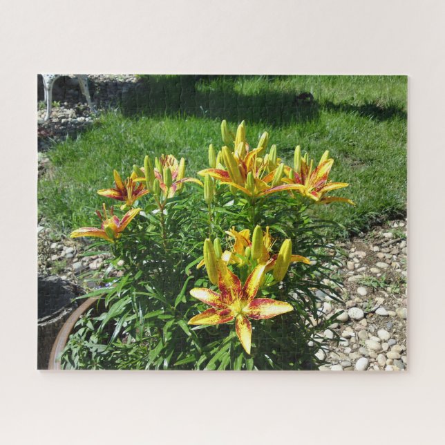 Fiery Lily Blume Puzzle (Horizontal)