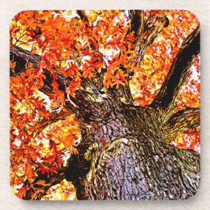 Fiery Oak Untersetzer