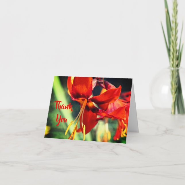 Fiery Orange Lily Blume Danke Card (Vorderseite)