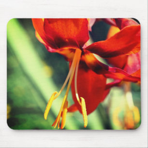 Fiery Orange Lily Blume Mousepad