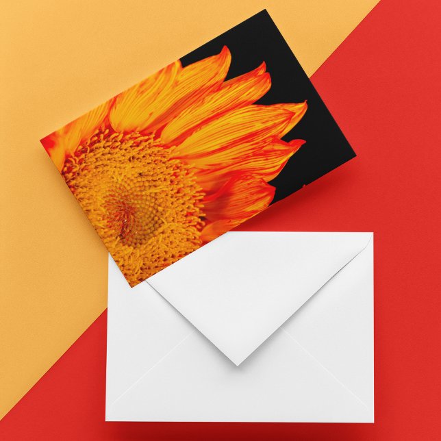Fiery Orange Sonnenblume Innen (Sunny Greetings Notecard: Brighten any day with this vibrant orange sunflower notecard.)