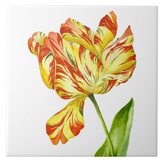 Fiery Tulip auf einer Keramik Fliese (Vorderseite)