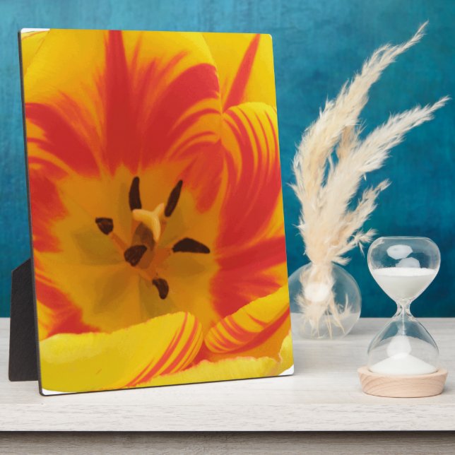 Fiery Tulip Plaque Fotoplatte (Seite)