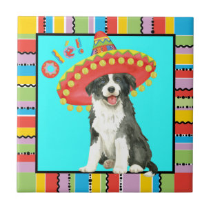 Fiesta Border Collie Fliese
