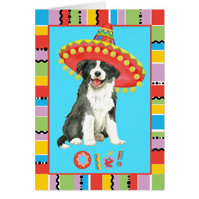Fiesta-Border-Collie-Gruß-Karte (Vorne)
