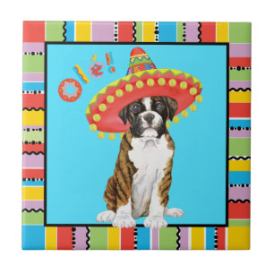 Fiesta Boxer Fliese
